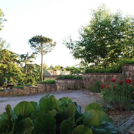 Casa Titty Appartement Serre Di Rapolano Buitenkant foto